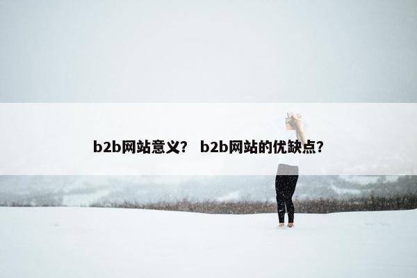 b2b网站意义？ b2b网站的优缺点？
