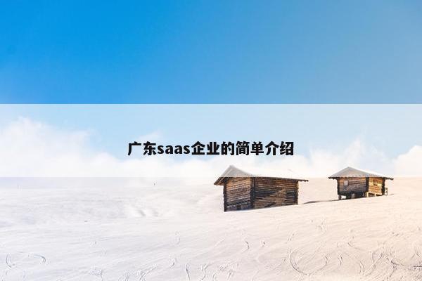 广东saas企业的简单介绍