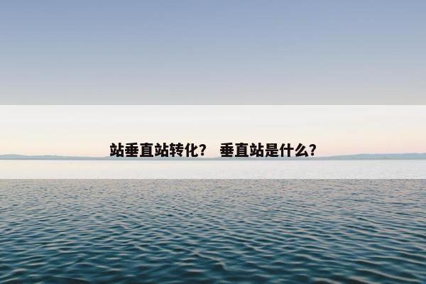 站垂直站转化？ 垂直站是什么？