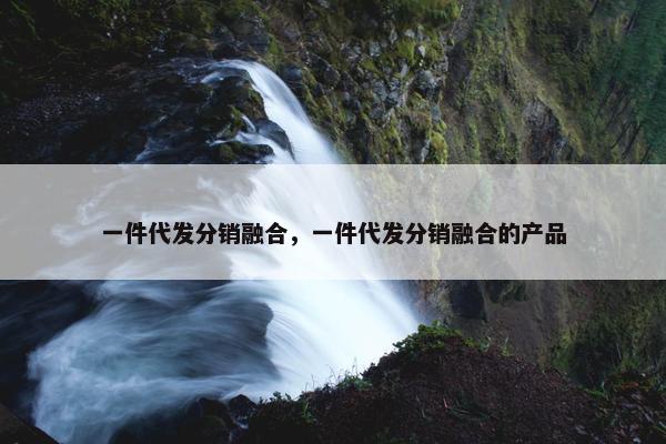 一件代发分销融合，一件代发分销融合的产品