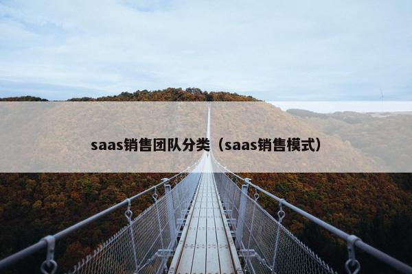 saas销售团队分类（saas销售模式）