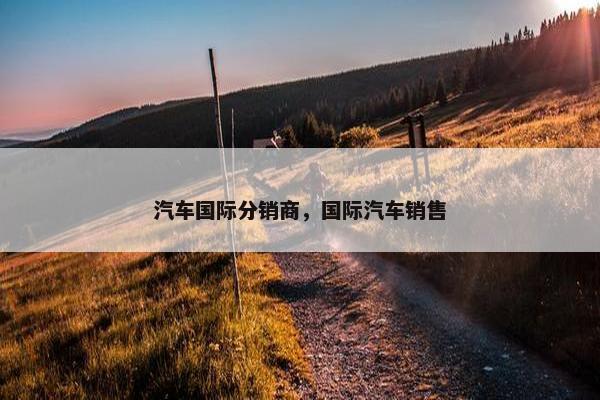 汽车国际分销商，国际汽车销售
