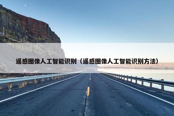 遥感图像人工智能识别（遥感图像人工智能识别方法）