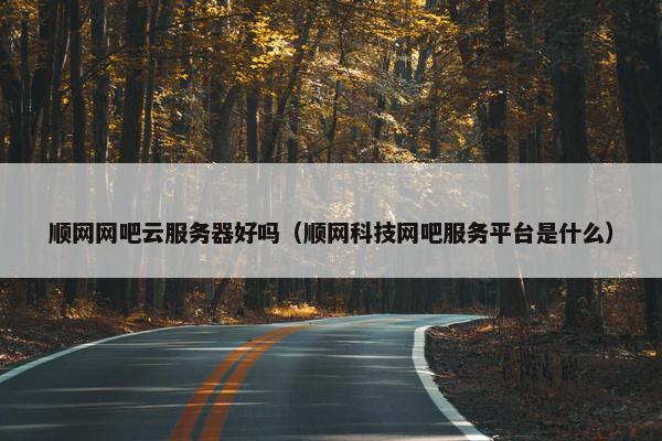 顺网网吧云服务器好吗（顺网科技网吧服务平台是什么）