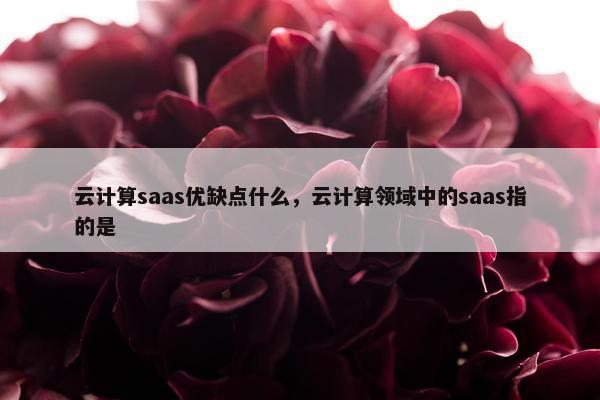 云计算saas优缺点什么，云计算领域中的saas指的是