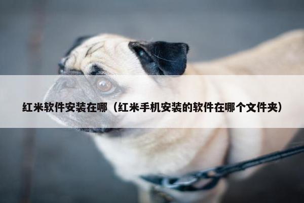 红米软件安装在哪（红米手机安装的软件在哪个文件夹）