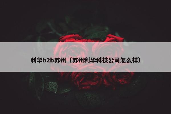 利华b2b苏州（苏州利华科技公司怎么样）
