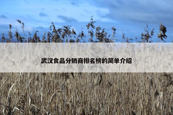 武汉食品分销商排名榜的简单介绍