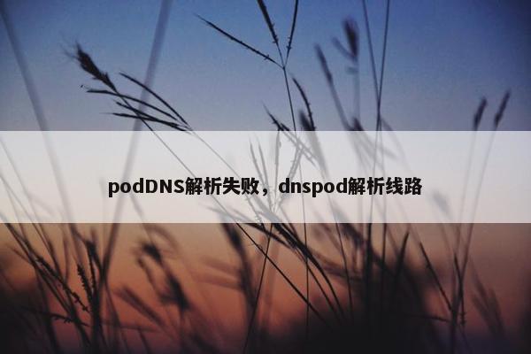 podDNS解析失败，dnspod解析线路