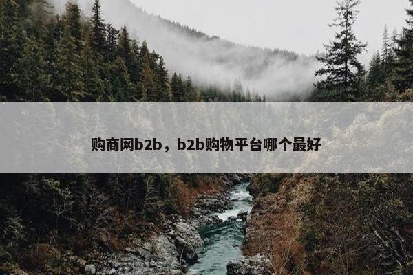 购商网b2b，b2b购物平台哪个最好
