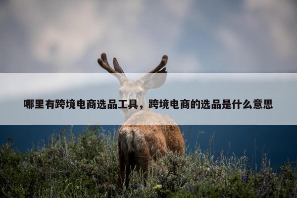哪里有跨境电商选品工具，跨境电商的选品是什么意思