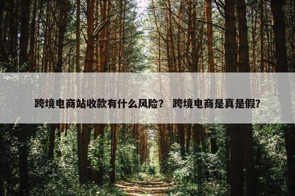 跨境电商站收款有什么风险？ 跨境电商是真是假？