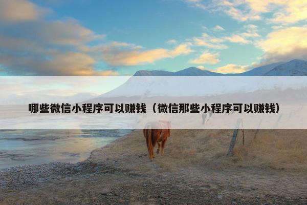 哪些微信小程序可以赚钱（微信那些小程序可以赚钱）