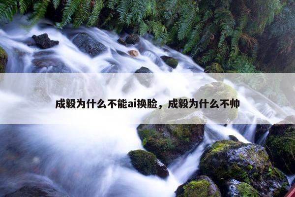 成毅为什么不能ai换脸，成毅为什么不帅