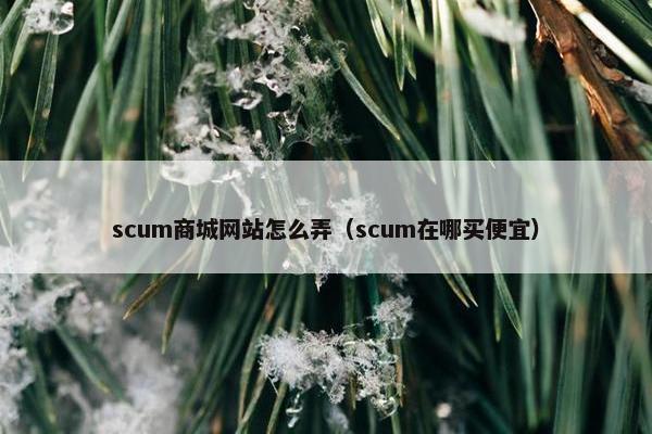 scum商城网站怎么弄（scum在哪买便宜）