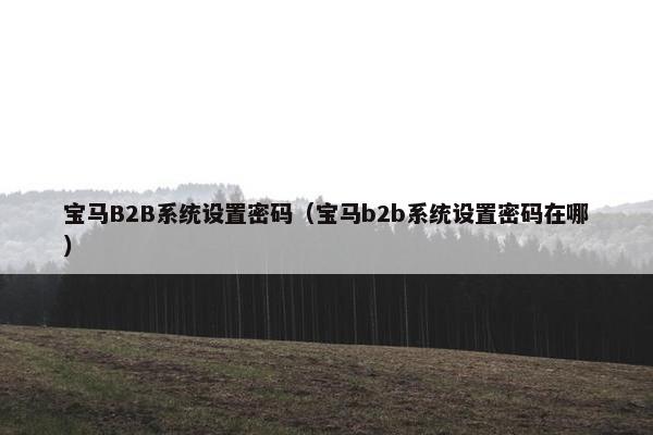 宝马B2B系统设置密码（宝马b2b系统设置密码在哪）