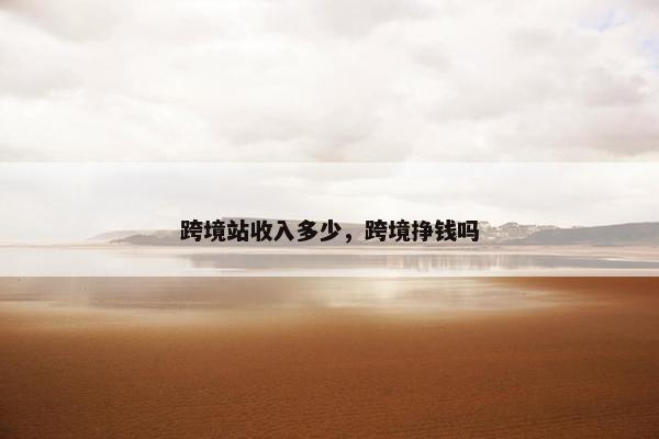 跨境站收入多少，跨境挣钱吗