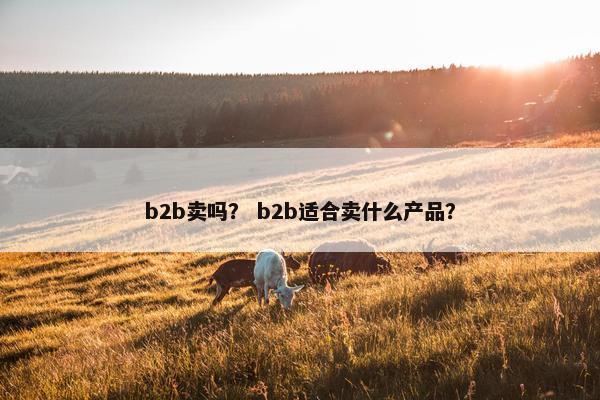 b2b卖吗？ b2b适合卖什么产品？
