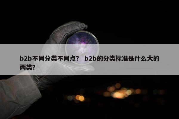 b2b不同分类不同点？ b2b的分类标准是什么大的两类？