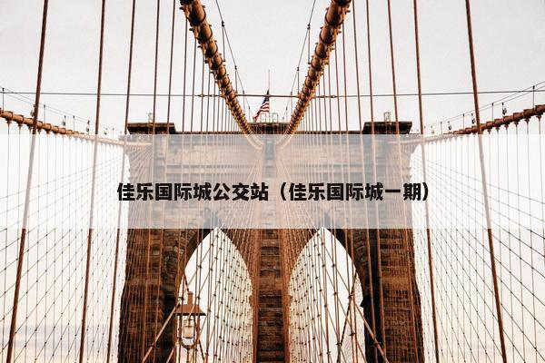 佳乐国际城公交站（佳乐国际城一期）