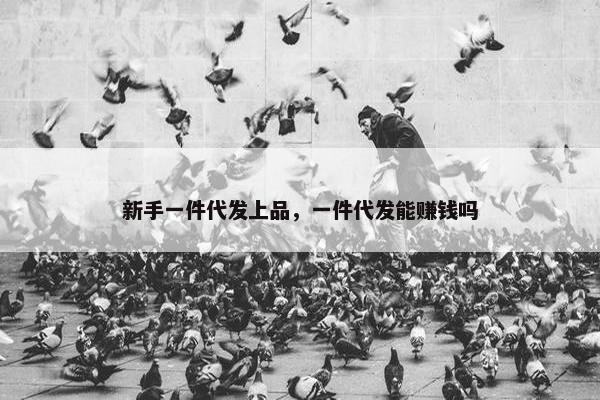 新手一件代发上品，一件代发能赚钱吗