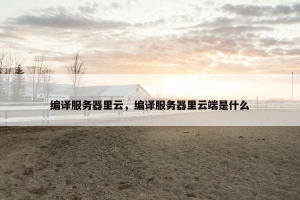 编译服务器里云，编译服务器里云端是什么