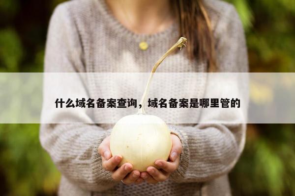 什么域名备案查询，域名备案是哪里管的