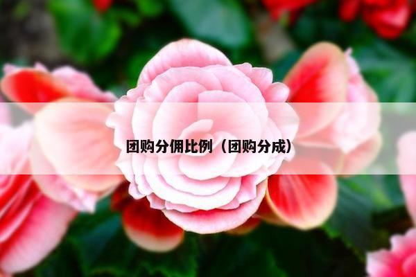 团购分佣比例（团购分成）