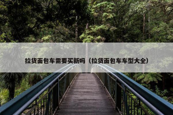 拉货面包车需要买新吗（拉货面包车车型大全）