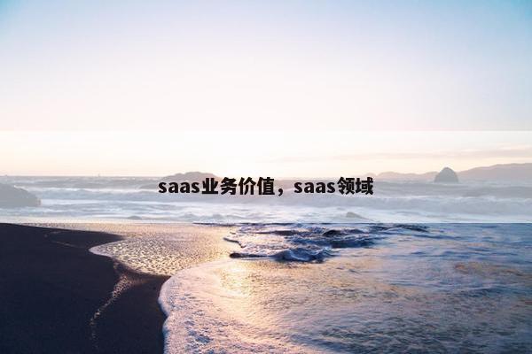 saas业务价值，saas领域