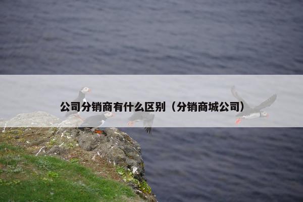 公司分销商有什么区别（分销商城公司）