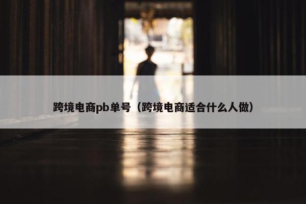跨境电商pb单号（跨境电商适合什么人做）