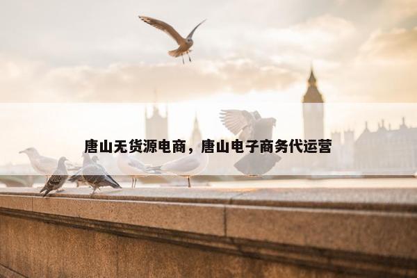 唐山无货源电商，唐山电子商务代运营