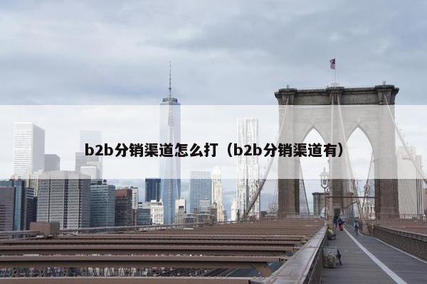 b2b分销渠道怎么打（b2b分销渠道有）