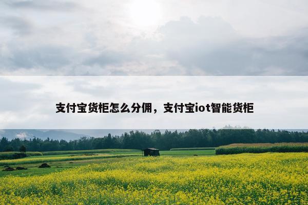 支付宝货柜怎么分佣，支付宝iot智能货柜