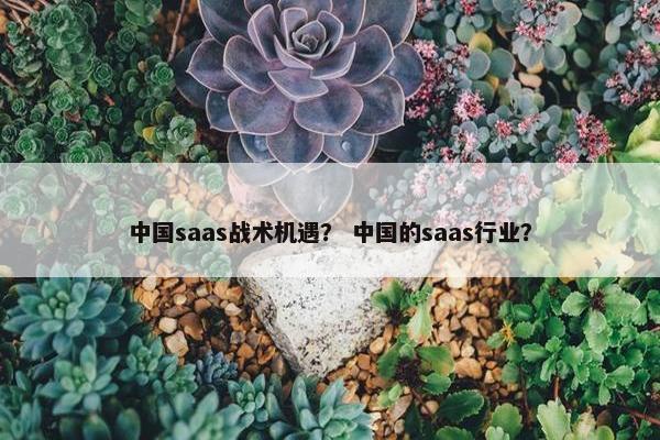 中国saas战术机遇？ 中国的saas行业？
