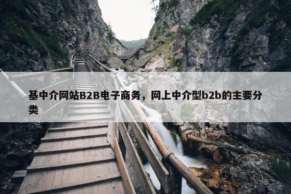 基中介网站B2B电子商务，网上中介型b2b的主要分类