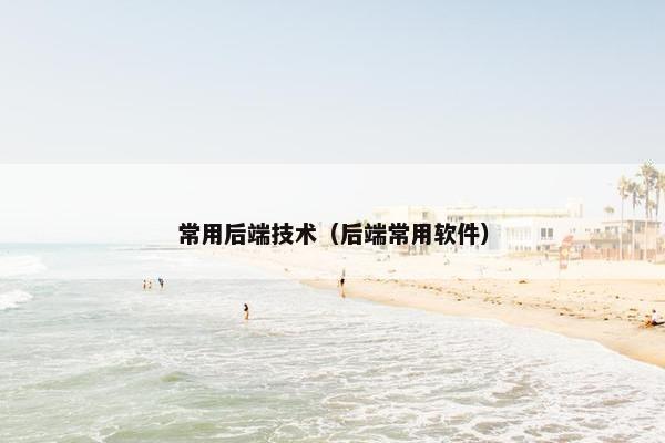 常用后端技术（后端常用软件）