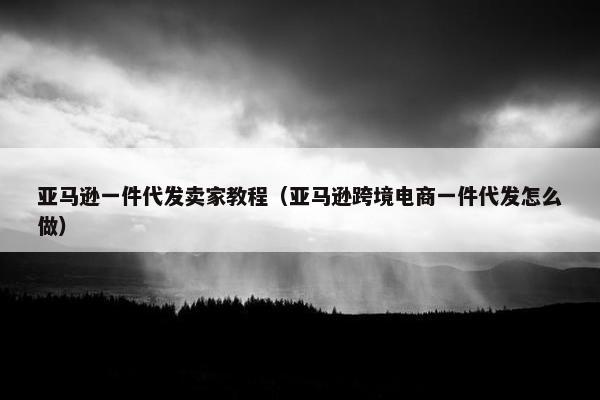 亚马逊一件代发卖家教程（亚马逊跨境电商一件代发怎么做）