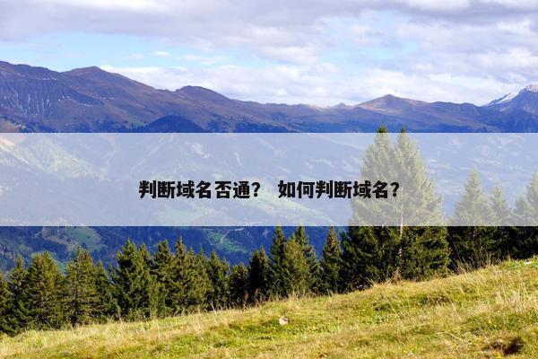 判断域名否通？ 如何判断域名？
