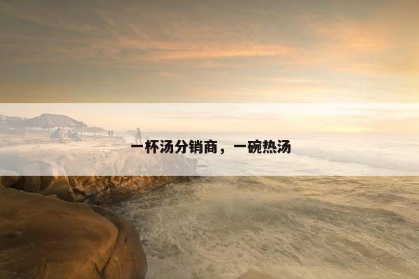 一杯汤分销商，一碗热汤