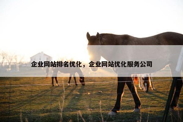 企业网站排名优化，企业网站优化服务公司