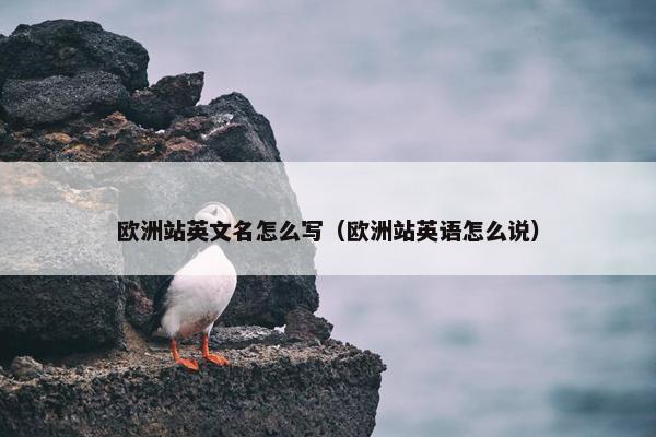 欧洲站英文名怎么写（欧洲站英语怎么说）