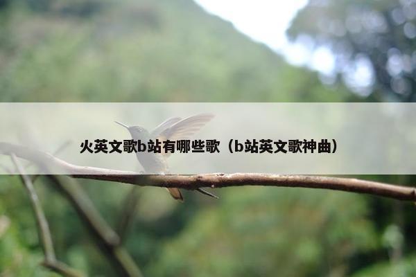 火英文歌b站有哪些歌（b站英文歌神曲）