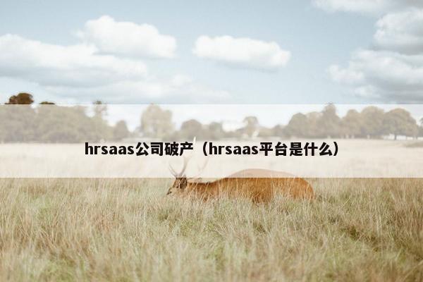 hrsaas公司破产（hrsaas平台是什么）