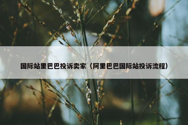 国际站里巴巴投诉卖家（阿里巴巴国际站投诉流程）