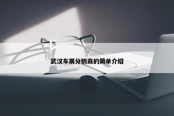 武汉车展分销商的简单介绍