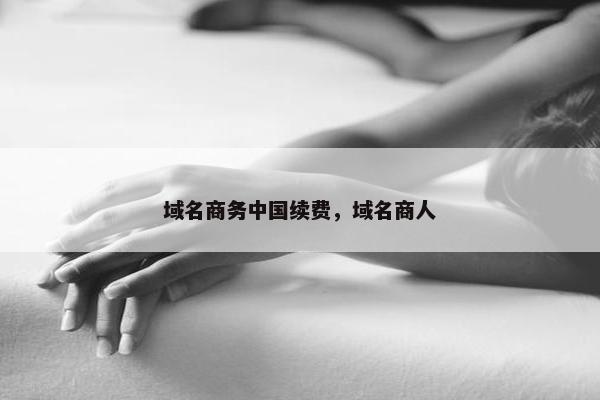 域名商务中国续费，域名商人
