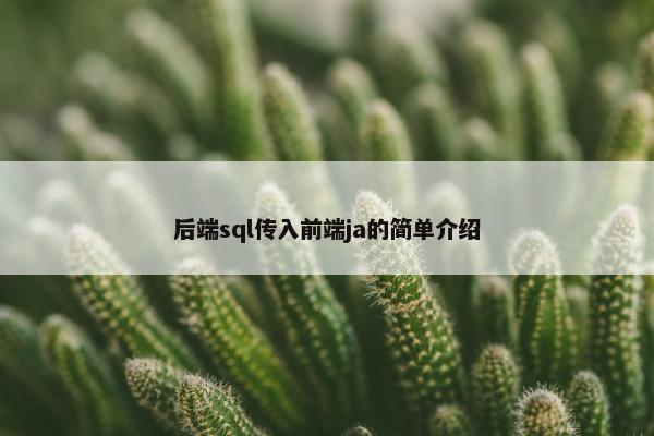 后端sql传入前端ja的简单介绍