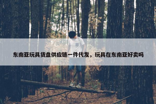 东南亚玩具货盘供应链一件代发，玩具在东南亚好卖吗
